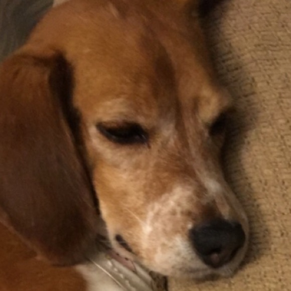 Meet your Posher, Ashley - Picture 1 of 1